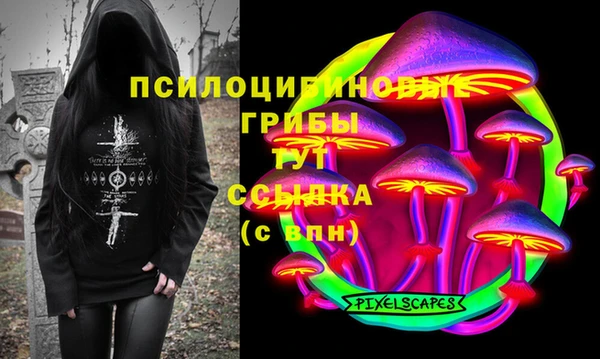 PSILOCYBIN Алексин