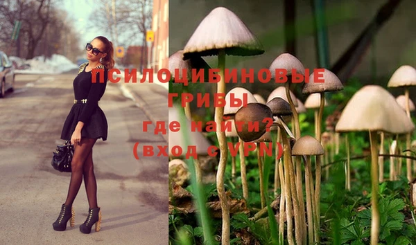 кокс Алексеевка
