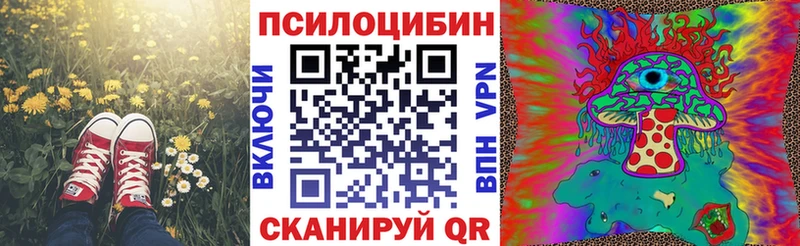 Псилоцибиновые грибы Psilocybe где купить наркоту Киреевск