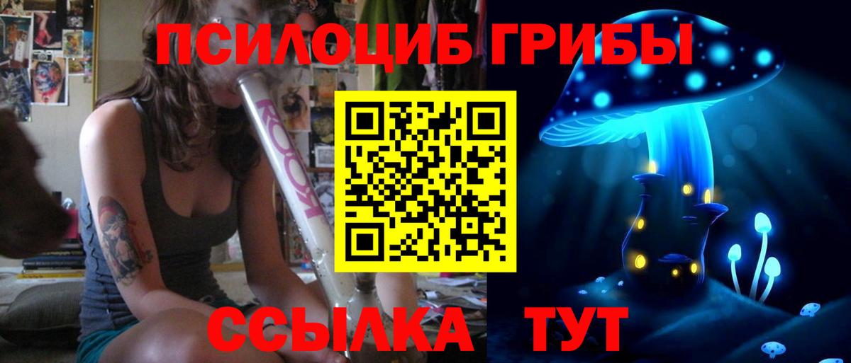 Галлюциногенные грибы MAGIC MUSHROOMS  Вход с VPN  Киреевск 